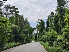 -青龙山国家森林公园