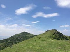 -大姆山草场