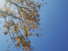 -诱货海鲜自助火锅(爱琴海购物公园东百店)