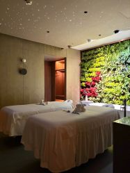 -VELEE·SPA高定疗愈会所