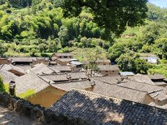 -杨家堂村