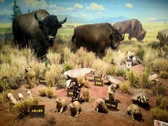 -陕西自然博物馆