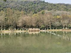 -八卦田遗址公园