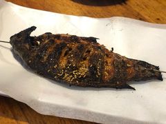 烤鲫鱼-小桂林烧鸽子