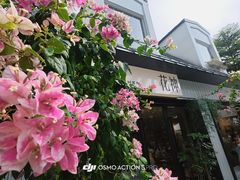 -花神·轻食简餐·咖啡馆·花卉绿植(荷兰花卉小镇店)