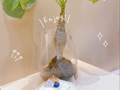 -初杏CrowXiey(九堡金堡街店)