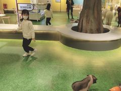 -zoonana室内动物园(东方福来德店)