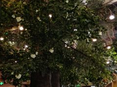 android_upload_pic-钟书阁(松江泰晤士小镇店)