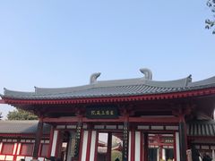 -大慈恩寺(大雁塔)
