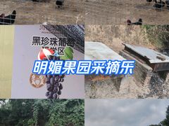 -海堤葡萄园中小学生研学基地