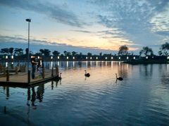 -明珠湖天鹅苑·农家菜馆