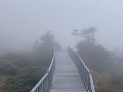 -苍山感通索道