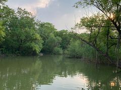 -上海吴淞炮台湾国家湿地公园