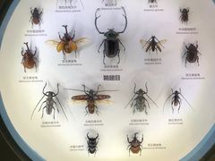 -舟山博物馆