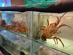 -珍珠餐馆Pearl Chinese Restaurant