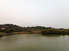 -龙佳生态温泉山庄