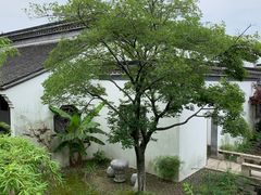 -金庸书院