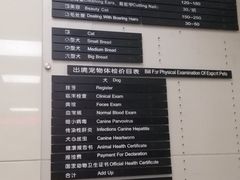 -申普宠物医院·心脏介入·心血管微创(总院)