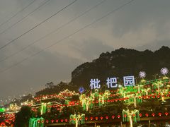 -枇杷园食为鲜火锅(南山店)