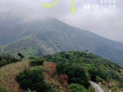 -梧桐山风景名胜区