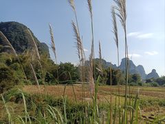 -明仕田园