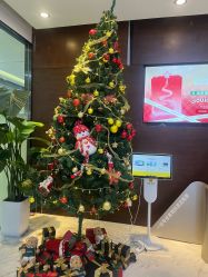 -洁铭新加坡医美