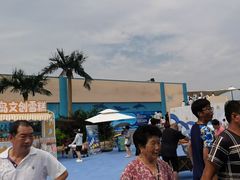 -秦皇岛乐岛海洋王国