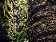 -梭布垭石林景区