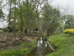 -中国天府农业博览园