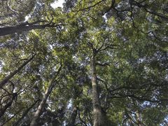 -青城山