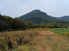 -八卦田遗址公园