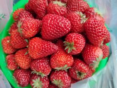草莓-北京清河镇农副产品交易市场中心