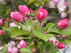 -元大都城垣遗址公园