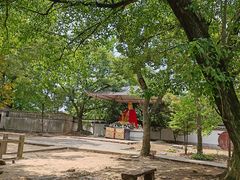 -上海佘山国家森林公园天马山园