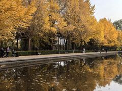 -玲珑塔公园
