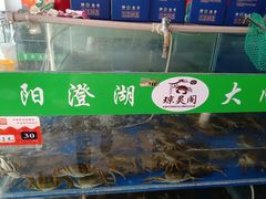 -阳澄湖大闸蟹·琼灵阁牌品牌连锁(吴中总店)