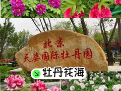 -太阳宫公园