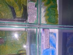 -惠州科技馆