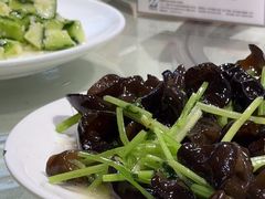 -瑞琳阿尔泰冷水鱼(于田街店)