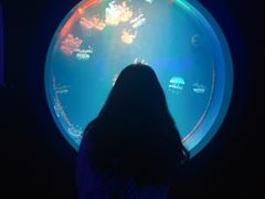 -多彩贵州城极地海洋世界