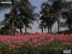-东风公园