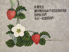 -Mr.Fruits水果先生(北京市百货大楼店)