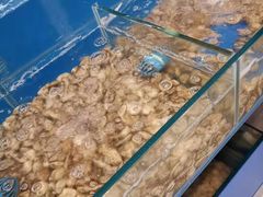 -大正味·蚝酒馆(龙泉店)