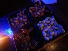-MARU玛露音乐餐厅(大学路店)