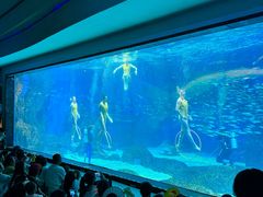 -海合安成都极地海洋公园