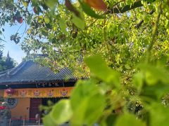 -龙华寺