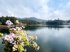 -海南热带雨林国家公园吊罗山景区