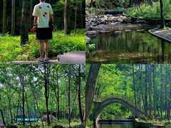 -洛阳白云山景区