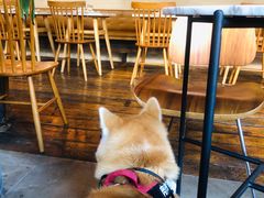-the rug 飞毯 (朝阳公园店)