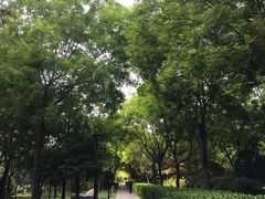 -唐城墙遗址公园